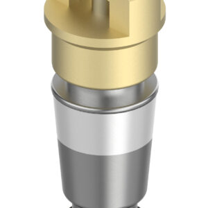 Danfoss Schrader valve, Spare part