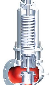 ARI-SAFE-SN ANSI full-lift safety valve